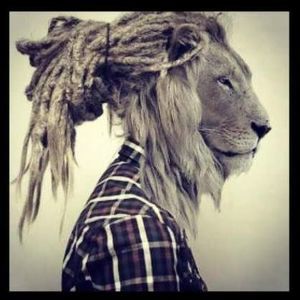 Meet your Posher, Darien